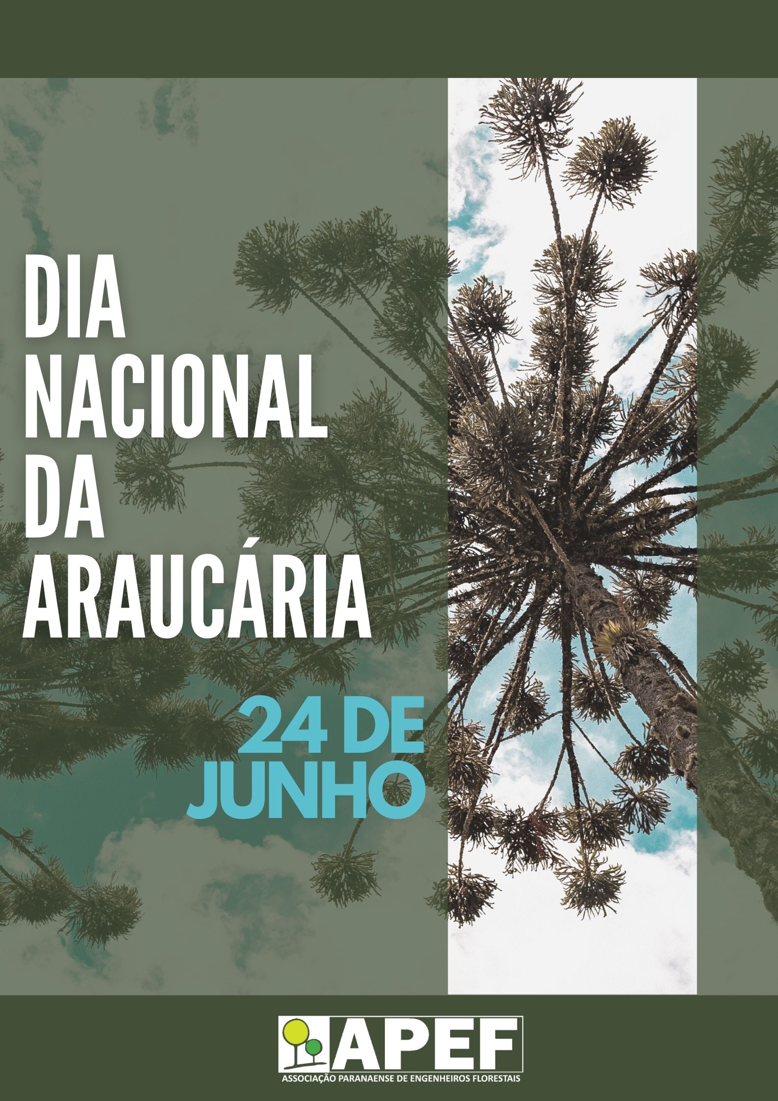 Dia Nacional da Araucária